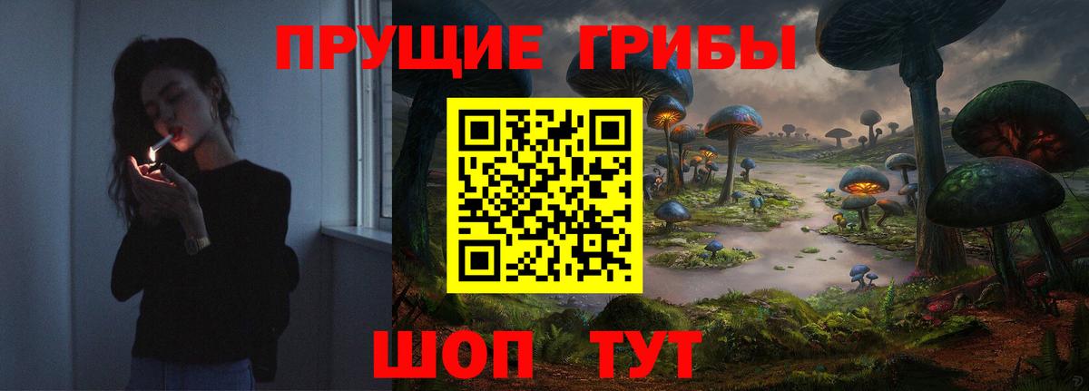 Псилоцибиновые грибы MAGIC MUSHROOMS  Вход с VPN  Чапаевск  Галлюциногенные грибы мицелий 